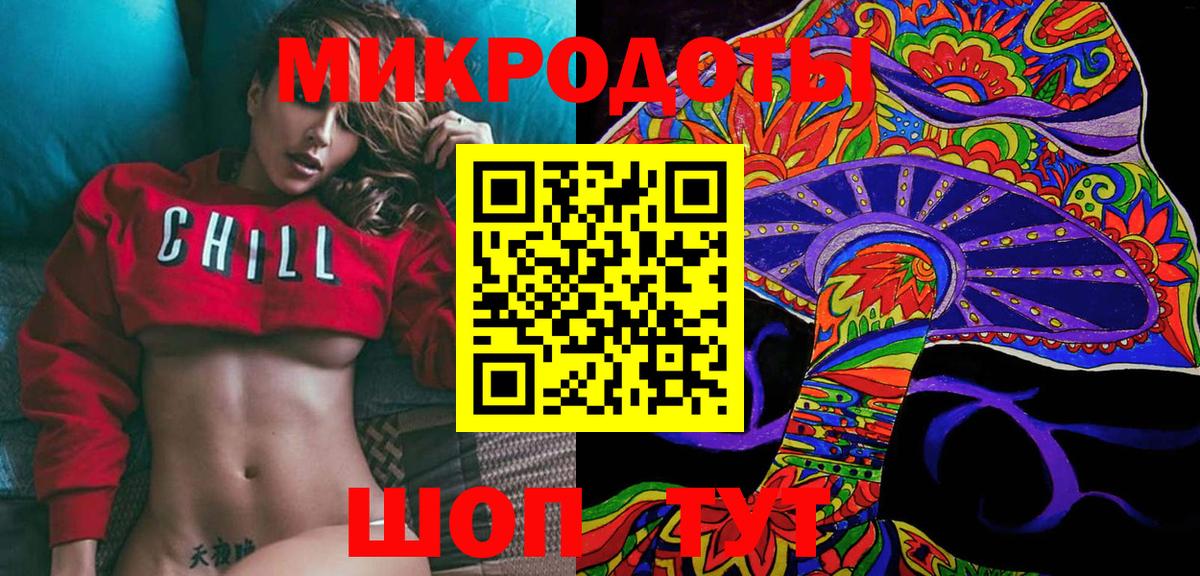Галлюциногенные грибы Psilocybe Дивногорск